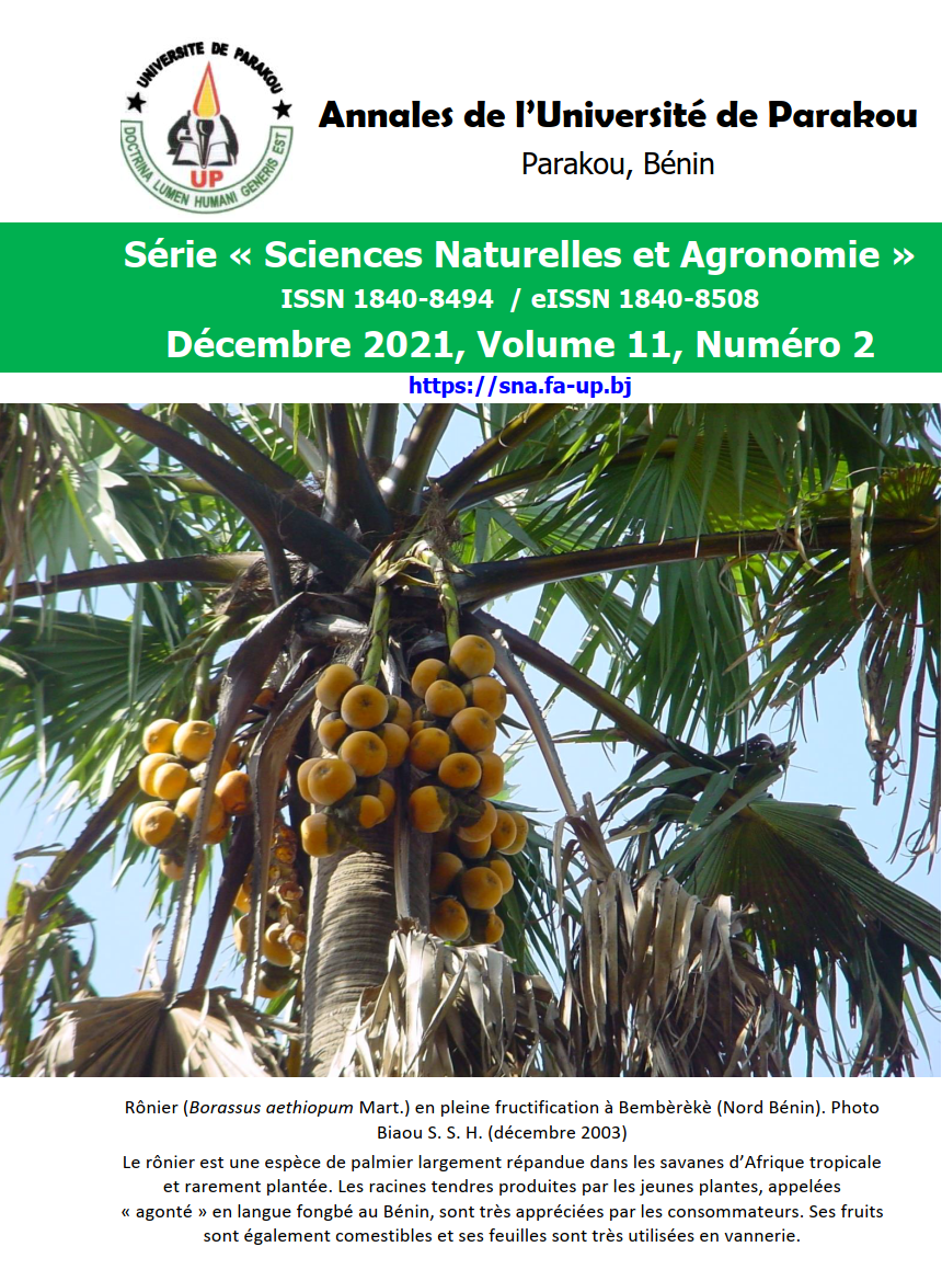 Cover, December 2021